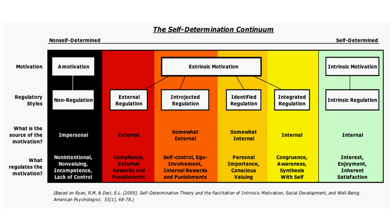 Intrinsic vs Extrinsic motivation in self determination theory