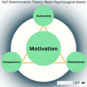 Self Determination Theory of Motivation